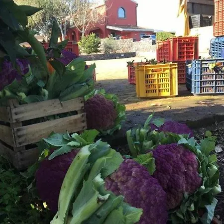 Campsite Agricampeggio Etna *