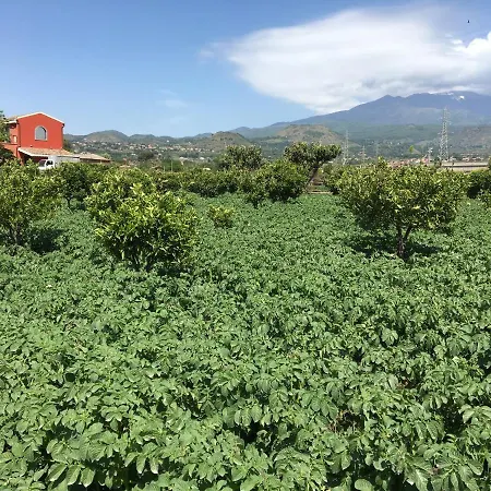 Agricampeggio Etna Campsite *