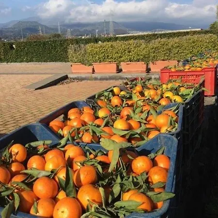Agricampeggio Etna Aci Sant'Antonio