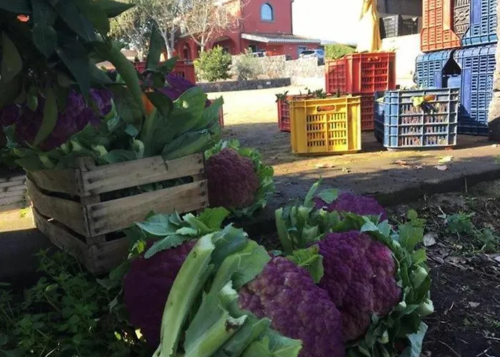 Camping Agricampeggio Etna *