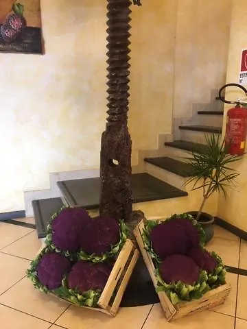 Agricampeggio Etna Camping *