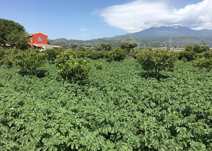 Agricampeggio Etna Camping *