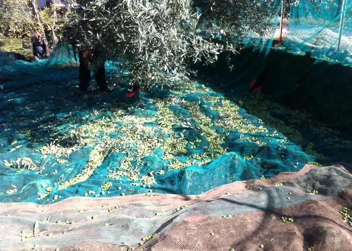 Agricampeggio Etna * Aci SantʼAntonio