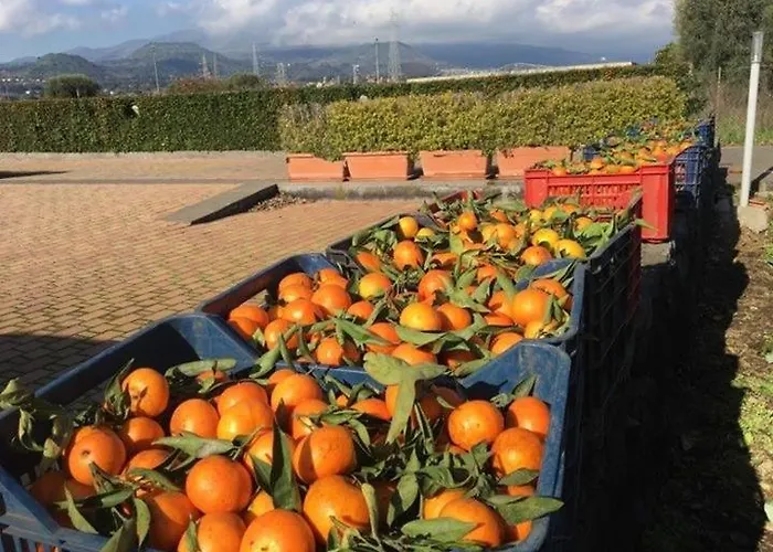 Agricampeggio Etna Aci SantʼAntonio